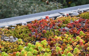 the cost of Low Dalby green roof installation