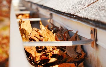 Low Dalby gutter cleaning companies