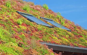 Low Dalby living roof systems