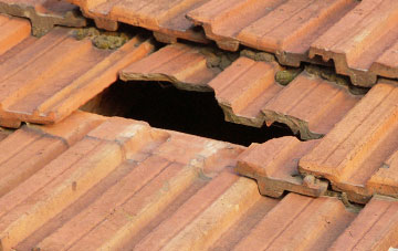 roof repair Low Dalby, North Yorkshire