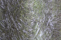 Low Dalby fibreglass roof work