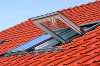 Low Dalby roof window